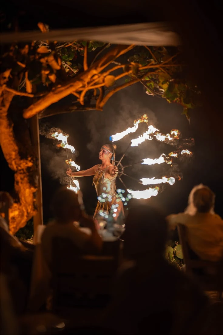 Spectacle de feu sous un arbre devant des invités
